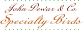 John Dewar & Co Holiday Birds